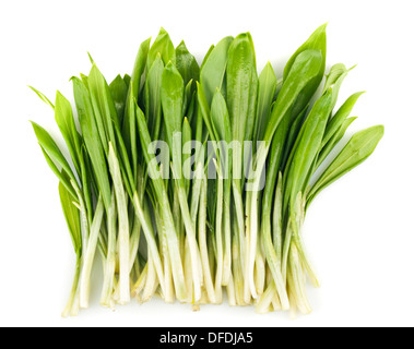 Bärlauch Bund Gemüse isoliert auf weißem Hintergrund Stockfoto