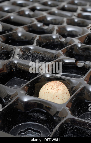 Die letzten Schokolade in eine Schachtel Pralinen. Thorntons Stockfoto