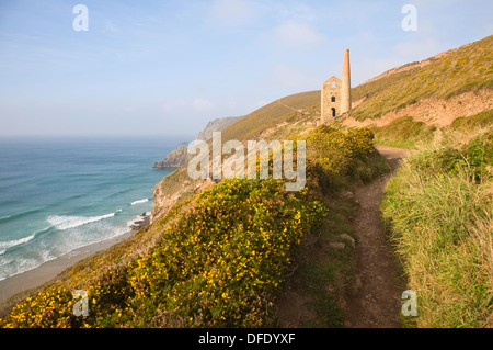 Towan Roath Maschinenhaus Ruinen bei Wheal Coates Tin mine, St Agnes Head, Cornwall, England Stockfoto