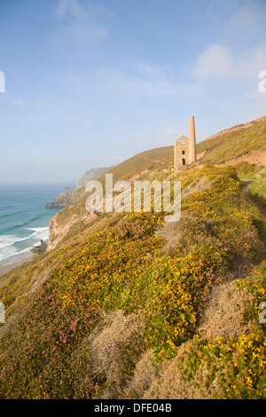 Towan Roath Maschinenhaus Ruinen bei Wheal Coates Tin mine, St Agnes Head, Cornwall, England Stockfoto