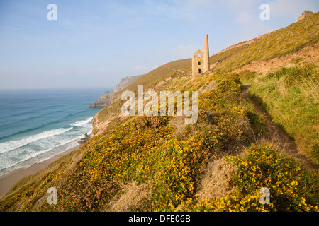 Towan Roath Maschinenhaus Ruinen bei Wheal Coates Tin mine, St Agnes Head, Cornwall, England Stockfoto