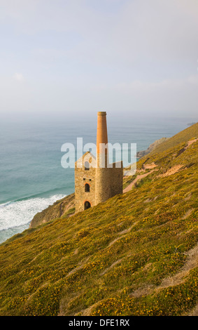 Towan Roath Maschinenhaus Ruinen bei Wheal Coates Tin mine, St Agnes Head, Cornwall, England Stockfoto