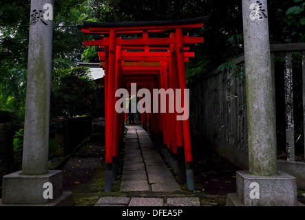 Torii-Tore (Schrein Tore) der Nezu shirine Stockfoto