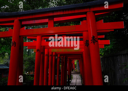 Torii-Tore (Schrein Tore) der Nezu shirine Stockfoto