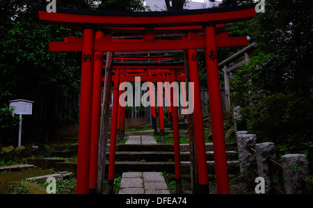 Torii-Tore (Schrein Tore) der Nezu shirine Stockfoto