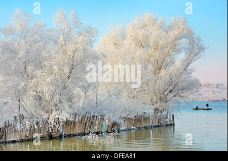 Winterbäume mit Frost bedeckt Stockfoto