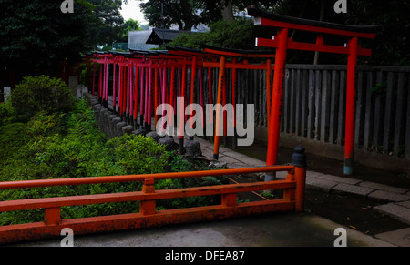 Torii-Tore (Schrein Tore) der Nezu shirine Stockfoto