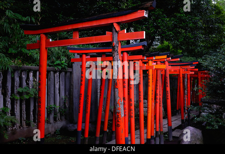 Torii-Tore (Schrein Tore) der Nezu shirine Stockfoto