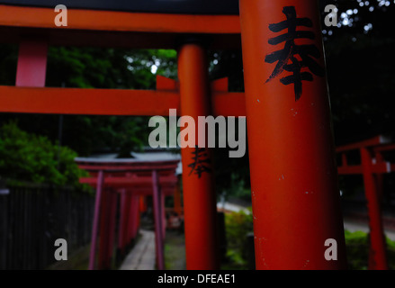 Torii-Tore (Schrein Tore) der Nezu shirine Stockfoto