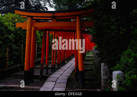 Torii-Tore (Schrein Tore) der Nezu shirine Stockfoto