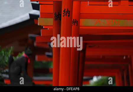 Torii-Tore (Schrein Tore) der Nezu shirine Stockfoto