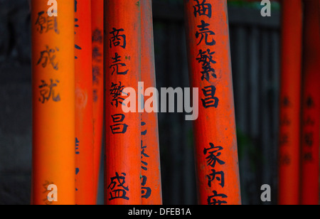 Torii-Tore (Schrein Tore) der Nezu shirine Stockfoto