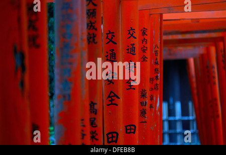 Torii-Tore (Schrein Tore) der Nezu shirine Stockfoto