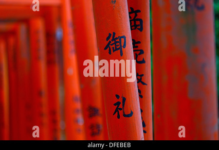 Torii-Tore (Schrein Tore) der Nezu shirine Stockfoto