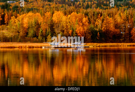 Zwei alaska Wasserflugzeuge vertäut am Dock inmitten Reflexionen im Wasser der Ebenen und farbenfrohe gelbe Laub der Bäume fallen Stockfoto