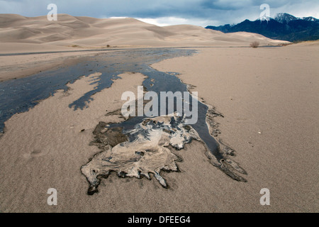 Das Wasser des Medano Creek fließt kurz über eine sandige waschen vor dem verschwinden, Great Sand Dunes National Park, Colorado. Stockfoto