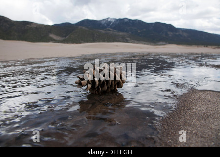 Das Wasser des Medano Creek fließt kurz über eine sandige waschen vor dem verschwinden, Great Sand Dunes National Park, Colorado. Stockfoto