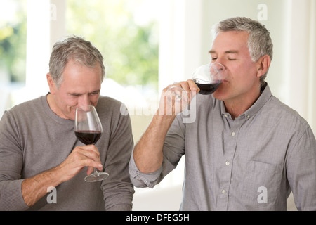 Senioren Herren zusammen Wein trinken Stockfoto