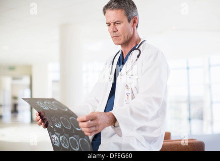 Arzt anzeigen Kopf Röntgen im Krankenhaus Stockfoto