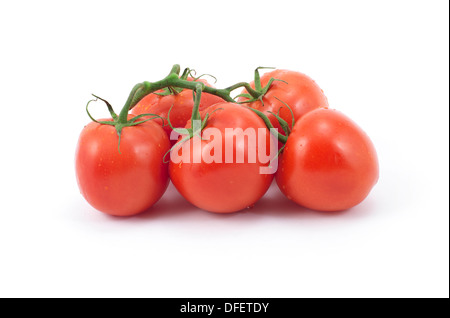 fünf (5) Studio isoliert frische Fleischtomaten auf Stiel mit Wassertropfen und weiches Licht Schatten Stockfoto