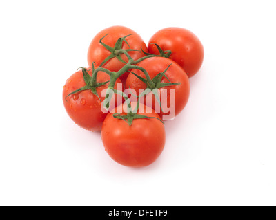 fünf (5) Studio isoliert frische Fleischtomaten auf Stiel mit Wassertropfen und weiches Licht Schatten Stockfoto
