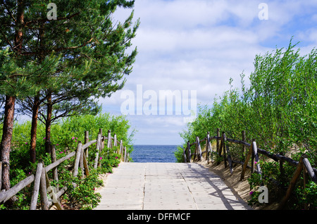 Asphaltierten Weg in Richtung Strand in Orlinki, Insel Sobieszewo, Gdansk, Polen Stockfoto