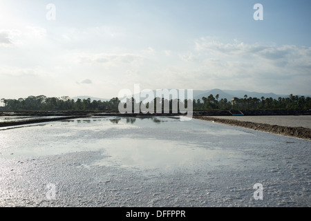 Salzfelder in Kampot, Kambodscha. Stockfoto