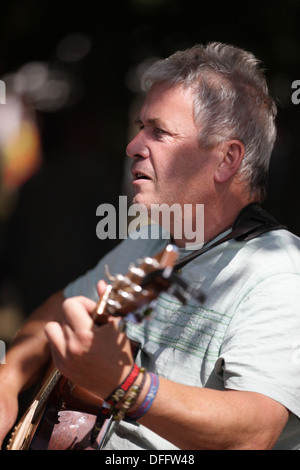 Aktion vom Didmarton Bluegrass Festival 2013 Stockfoto