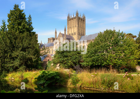 Wells, Dom, Somerset, England, Vereinigtes Königreich Stockfoto