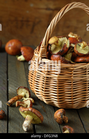 frisch gepflückten Pilze in einem Weidenkorb, Essen Nahaufnahme Stockfoto