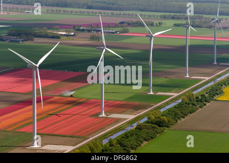 Wind-Turbinen, Tulpenfelder, Luftaufnahme, Zeewolde, Flevoland, Niederlande Stockfoto