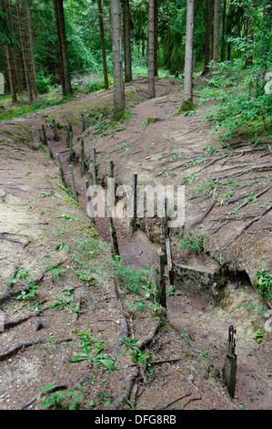 Alte Schützengräben aus dem ersten Weltkrieg im Fort Douaumont, Verdun, Departement Meuse, Lothringen, Frankreich Stockfoto