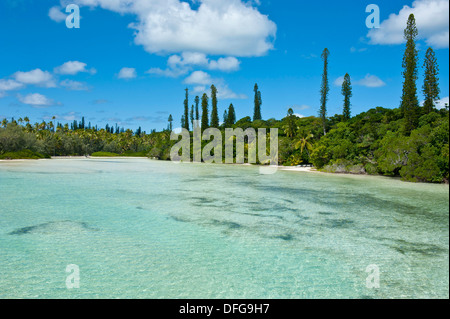 Bucht de Oro, Île des Pins, Neukaledonien, Frankreich Stockfoto