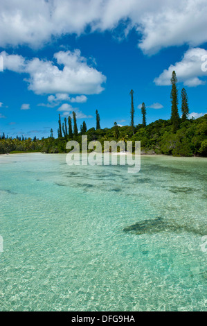 Bucht de Oro, Île des Pins, Neukaledonien, Frankreich Stockfoto