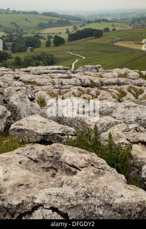 Kalkstein Pflaster Malham Cove Yorkshire UK Stockfoto