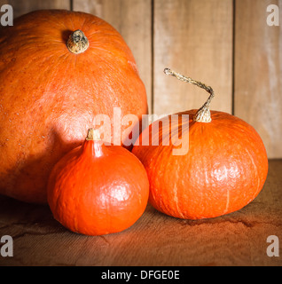 Kürbisse auf hölzernen Grunge Hintergrund, Hintergrund-Tabelle. Herbst, Halloween, Kürbis Stockfoto