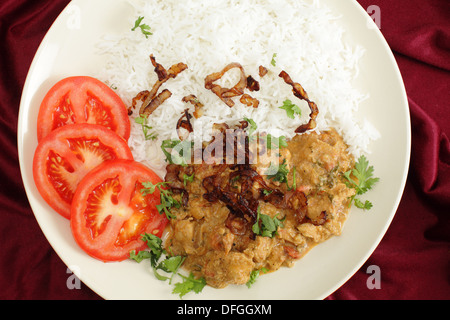 Süd-indischen Chicken Korma, Schadenverlauf Kokosnuss mit gekochten Basmati-Reis und Koriander Blätter, gebratenen Zwiebeln und Tomaten in Scheiben. Stockfoto