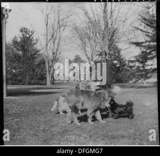 Ein Foto von Präsident Franklin D. Roosevelt mit vier Hunden auf seinem Hyde Park Anwesen. Das Bild fängt Roosevelts Privatleben und seine Bindung zu Tieren ein und spiegelt eine weichere Seite des Präsidenten wider. Stockfoto