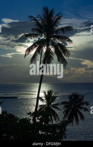 Palmen-Silhouette von einem stürmischen Himmel, mit der Insel Moorea hinter, Pape'ete, Tahiti, Französisch-Polynesien Stockfoto