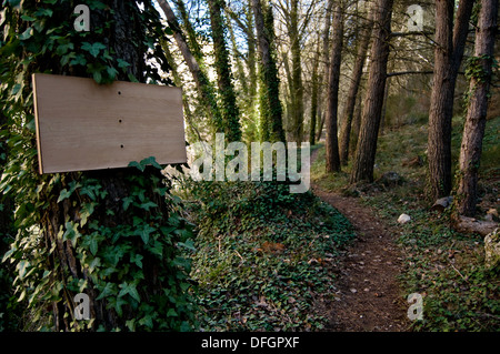 Leere singen unter Angabe der Straße Wald Stockfoto