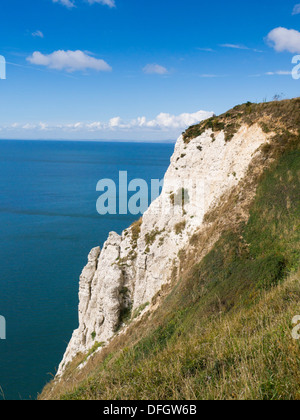 Kreidefelsen bei Branscombe Küste, Devon, England Stockfoto