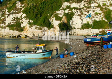 Ein Boot, immer bereit für einen Angelausflug an Bier, Devon, England. Stockfoto