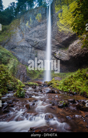 Latourell fällt im Typ W Talbot State Park in der Columbia River Gorge, Oregon USA Stockfoto