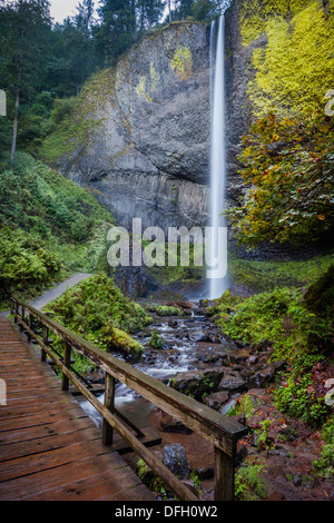 Wandern Wanderweg Brücke bei Latourell fällt im Guy W Talbot State Park, Columbia River Gorge, Oregon USA Stockfoto