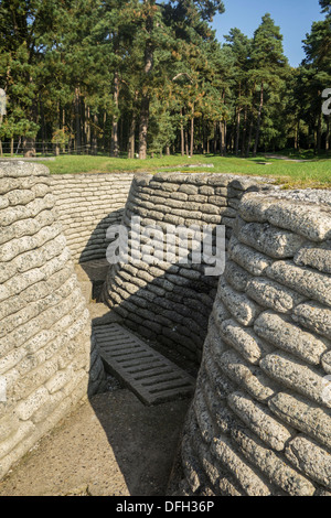 Ersten Weltkrieg ein Schlachtfeld mit Gräben bei Vimy Ridge in der Nähe von Canadian National Vimy Memorial bei Givenchy-En-Gohelle, France Stockfoto