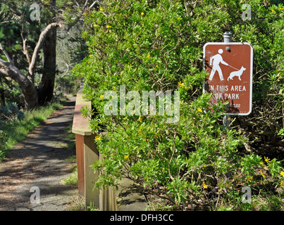 Hunde an der Leine Symbol anmelden park Stockfoto