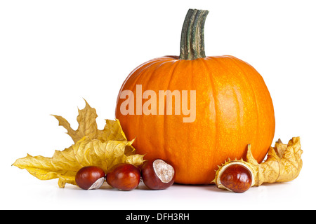Kürbis mit Herbstlaub und Kastanien auf weißem Hintergrund. Herbst-Zusammensetzung Stockfoto