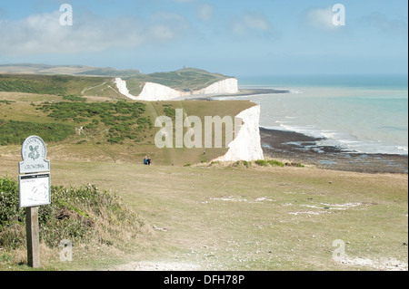 Crowlink auf sieben Schwestern Klippen in der Nähe von Eastbourne, Großbritannien Stockfoto