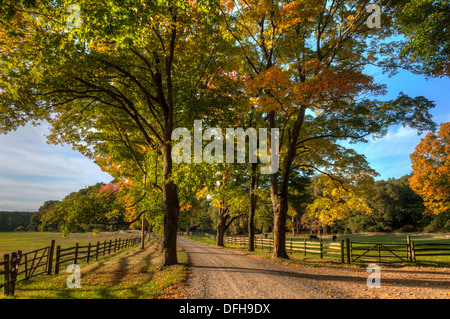 Privatstraße, Hamilton, Massachusetts mit Farben des Herbstes. Stockfoto