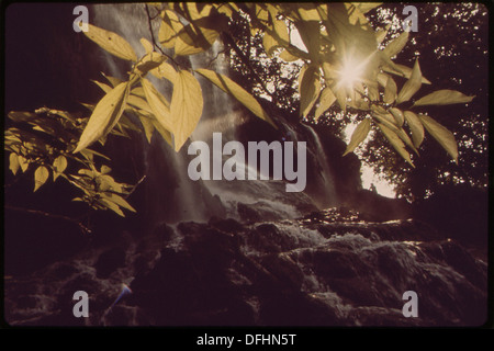 Gorman Falls ist ein unberührter Quellwasserbach, der in den Colorado River mündet, der für sein sauberes Wasser und seine natürliche Schönheit bekannt ist. Stockfoto